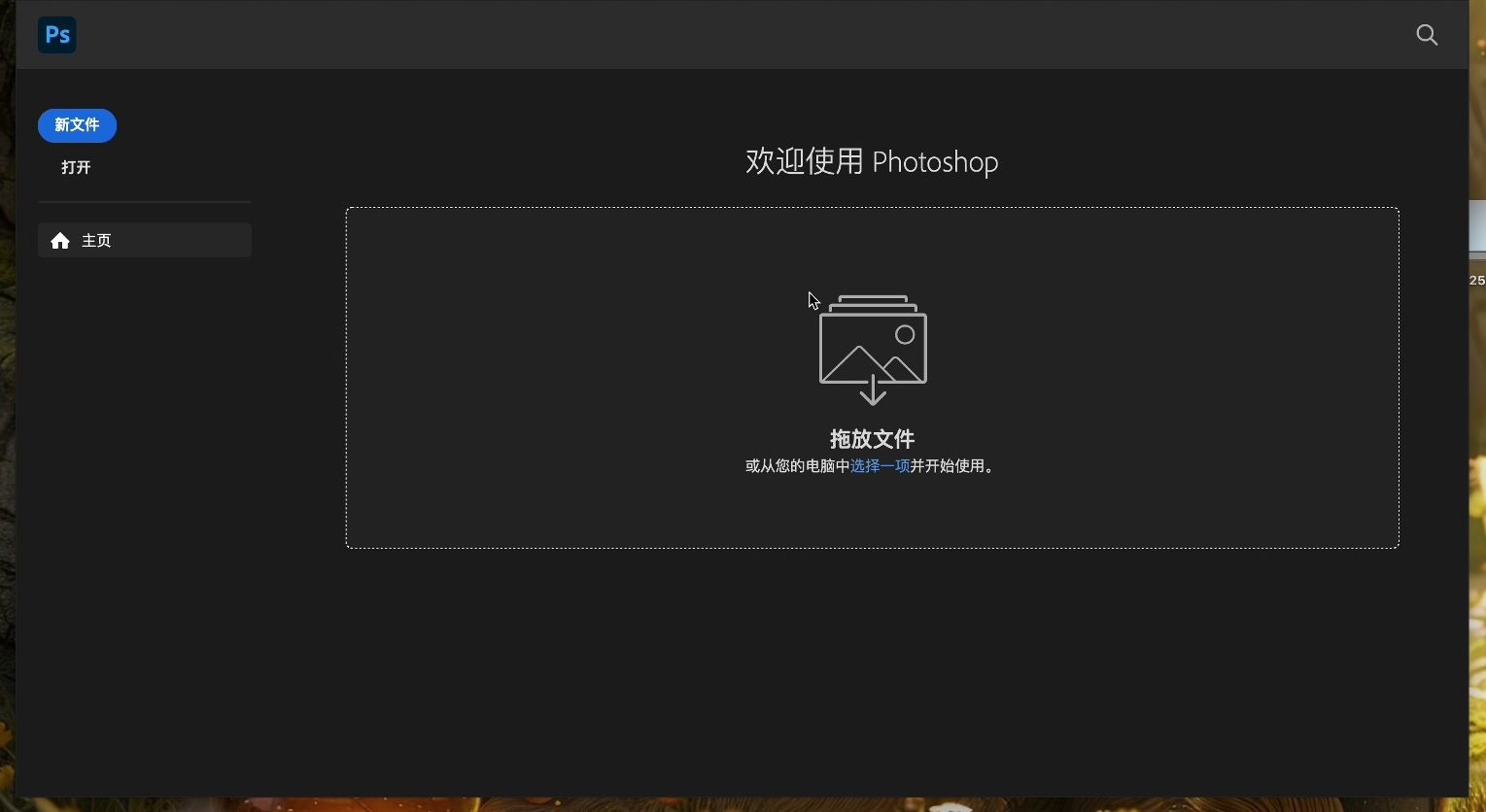 Adobe Photoshop 2025 for Mac v26.5.0 中文激活版 (ps2025图像编辑软件)