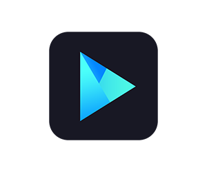 Vidmore Player for mac(蓝光播放器)v1.0.68激活版