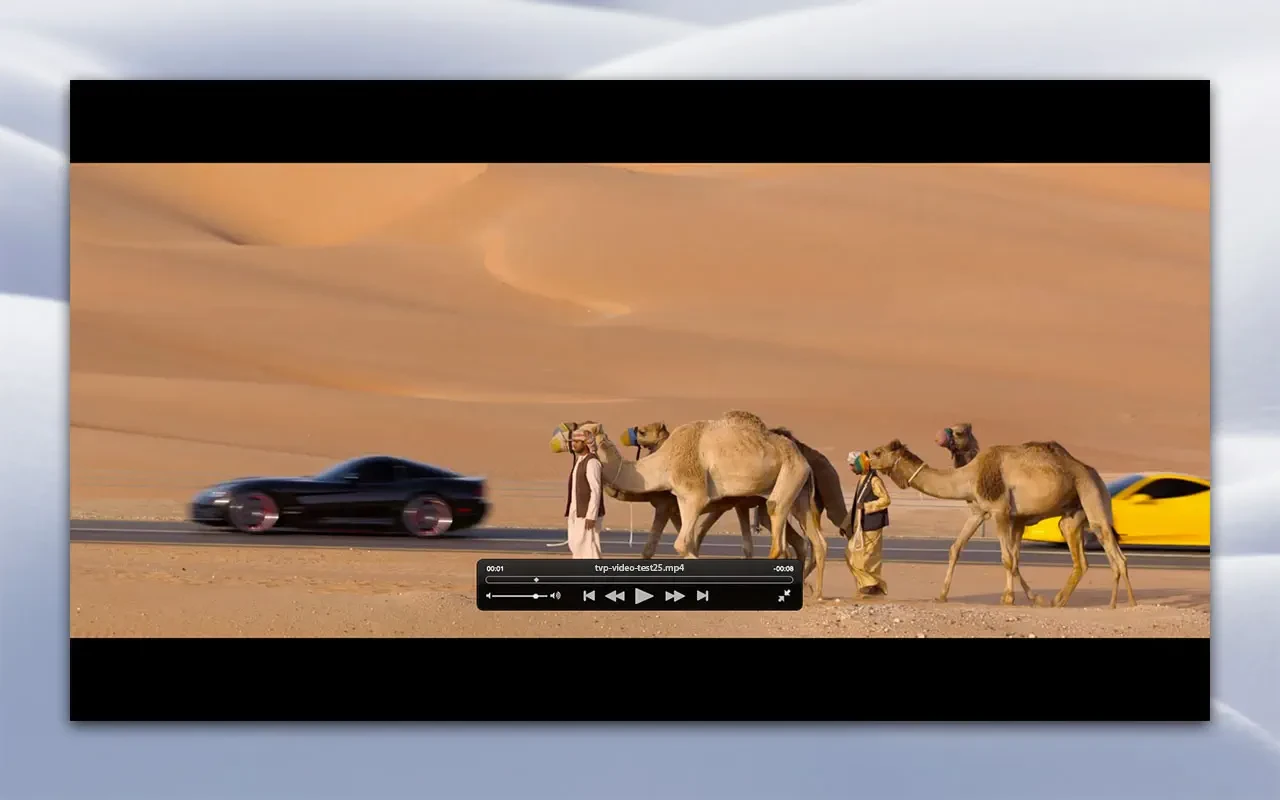 Total Video Player for Mac v3.5.0 中文 视频播放器